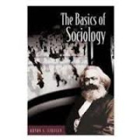 Image of The basic of sociology