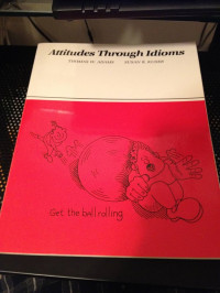 Image of Attitudes Through Idioms